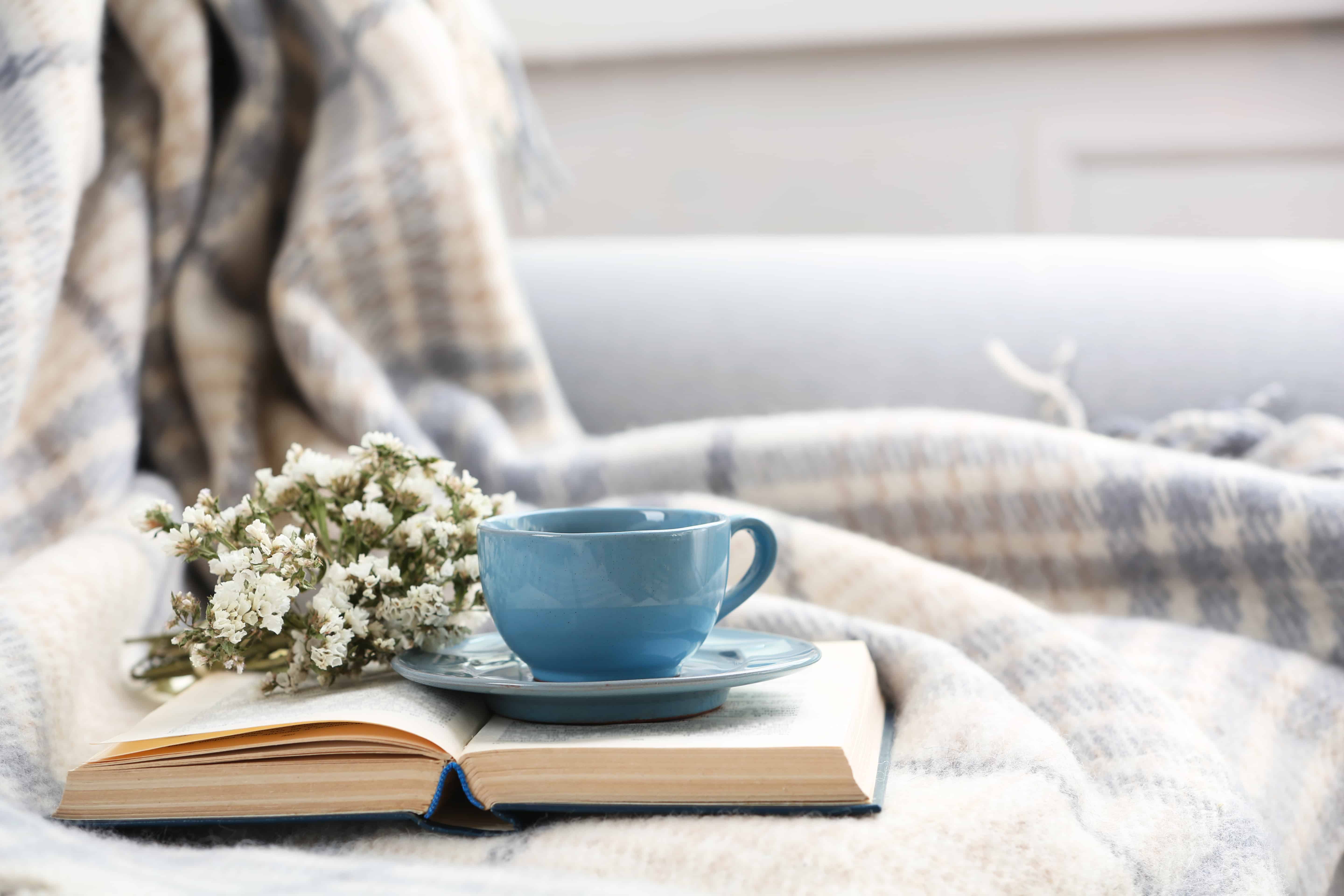 Blue cup of coffee with open book on sofa in room
