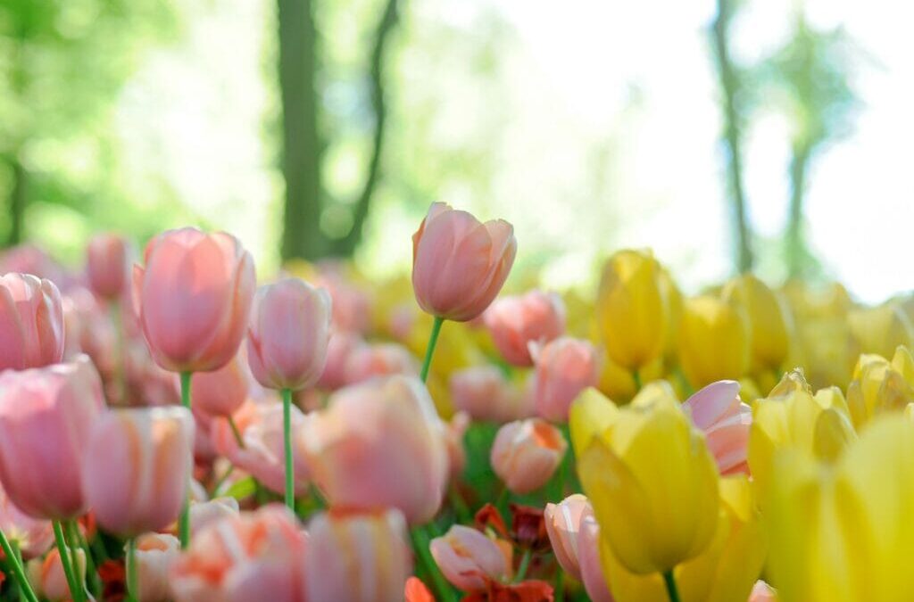 “Faith does not eliminate questions. But faith knows where to take them.”